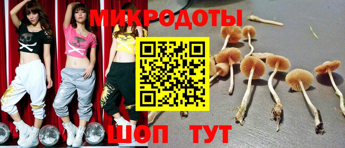 Галлюциногенные грибы GOLDEN TEACHER Черногорск